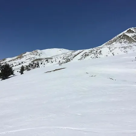 Gran * Passo del Tonale